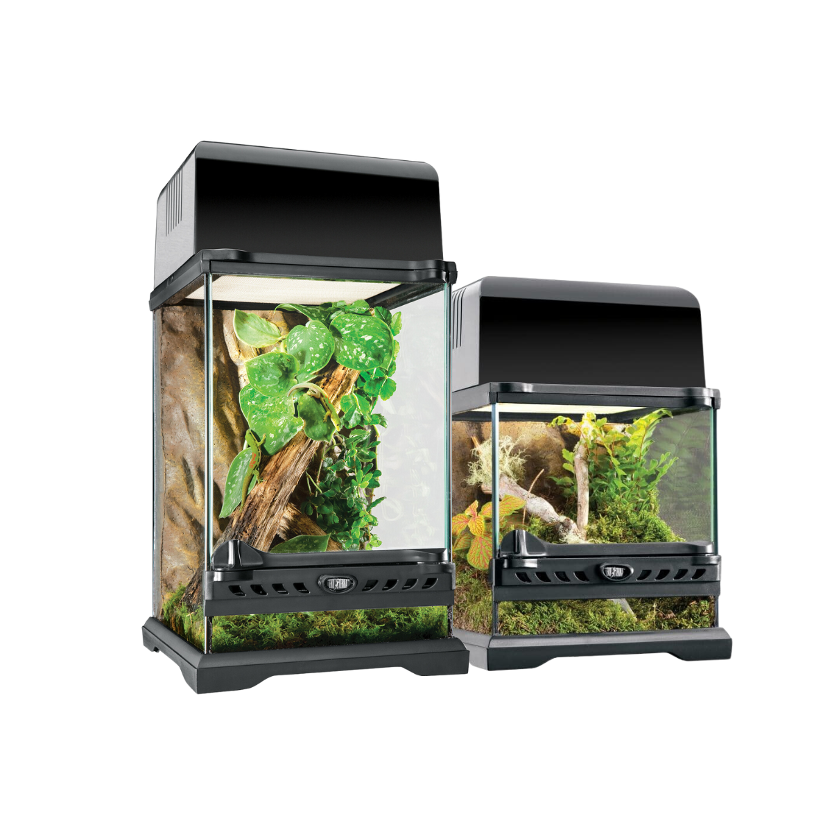 Exo Terra Glass Natural Terrarium Nano – Royal Python's Cove