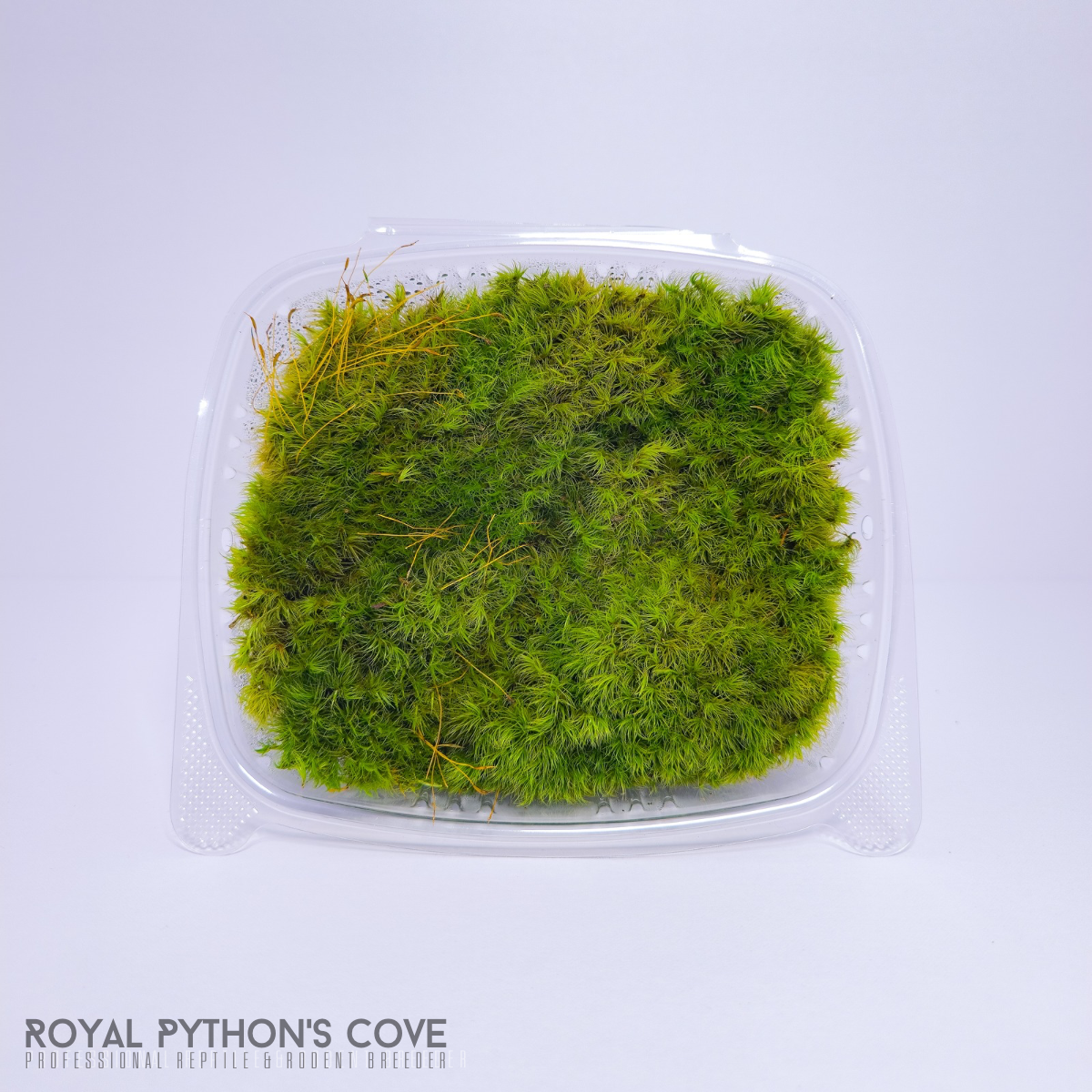 forkmoss 1