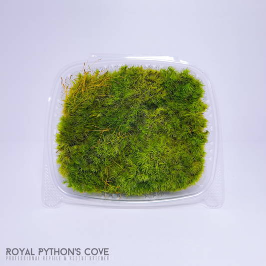 forkmoss 1