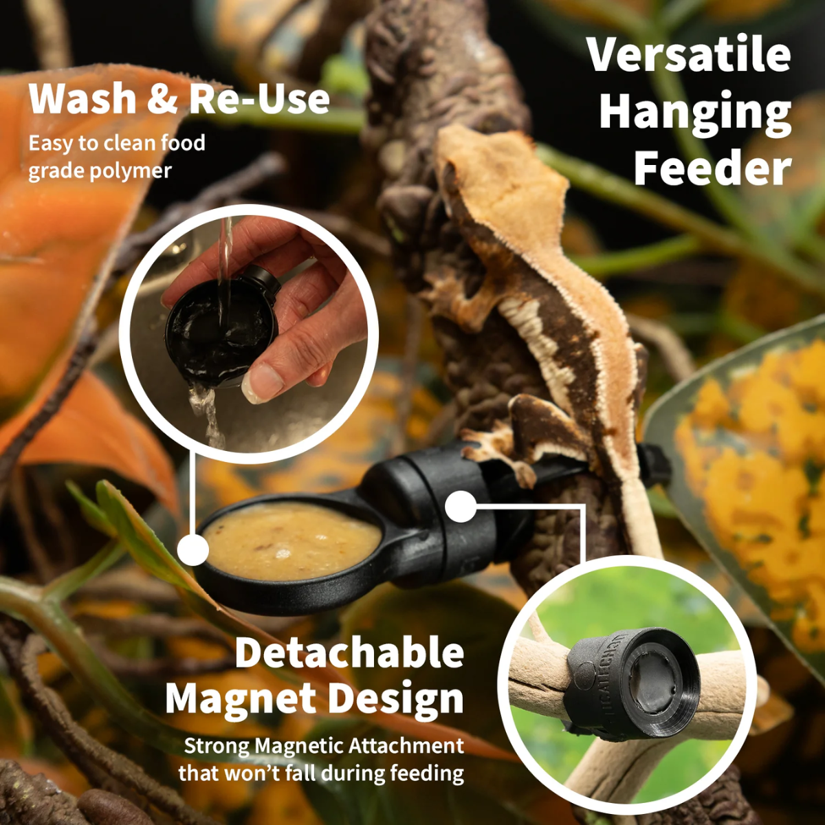 Pangea MicroDish Branch Mount Kit Gecko Feeding Dish 3