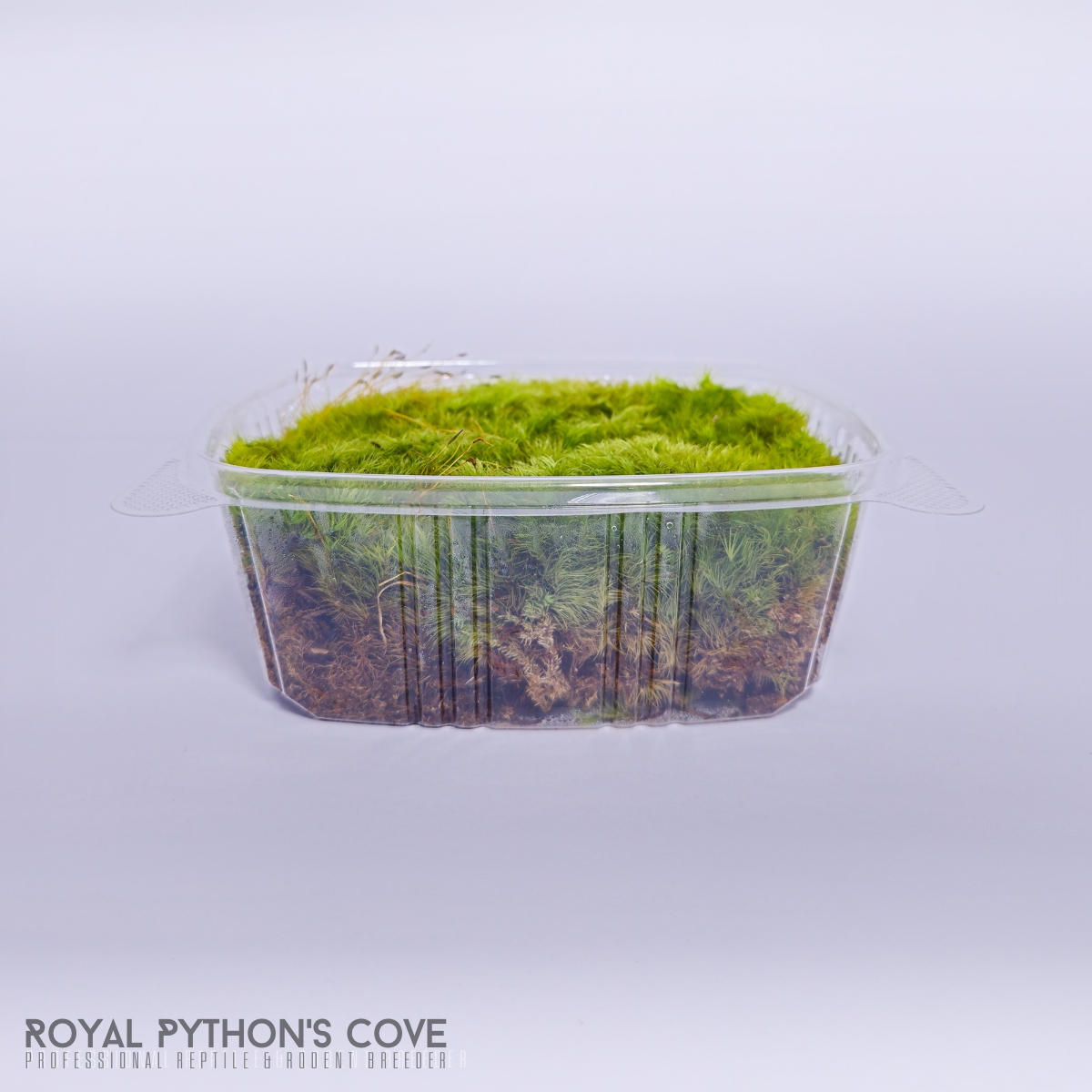 forkmoss 2