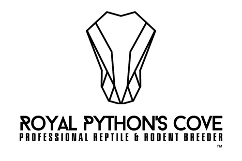 Royal Python's Cove