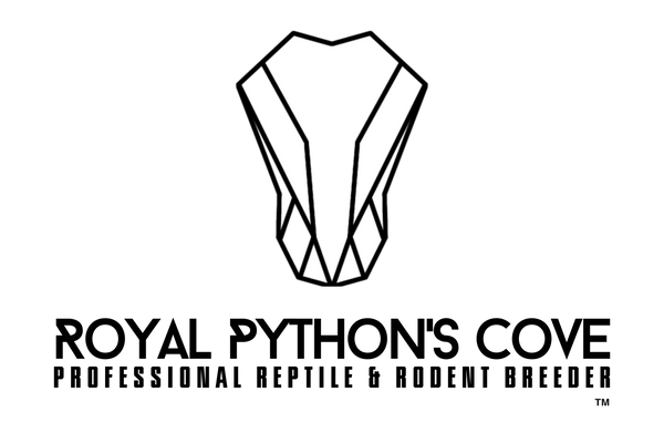 Royal Python's Cove