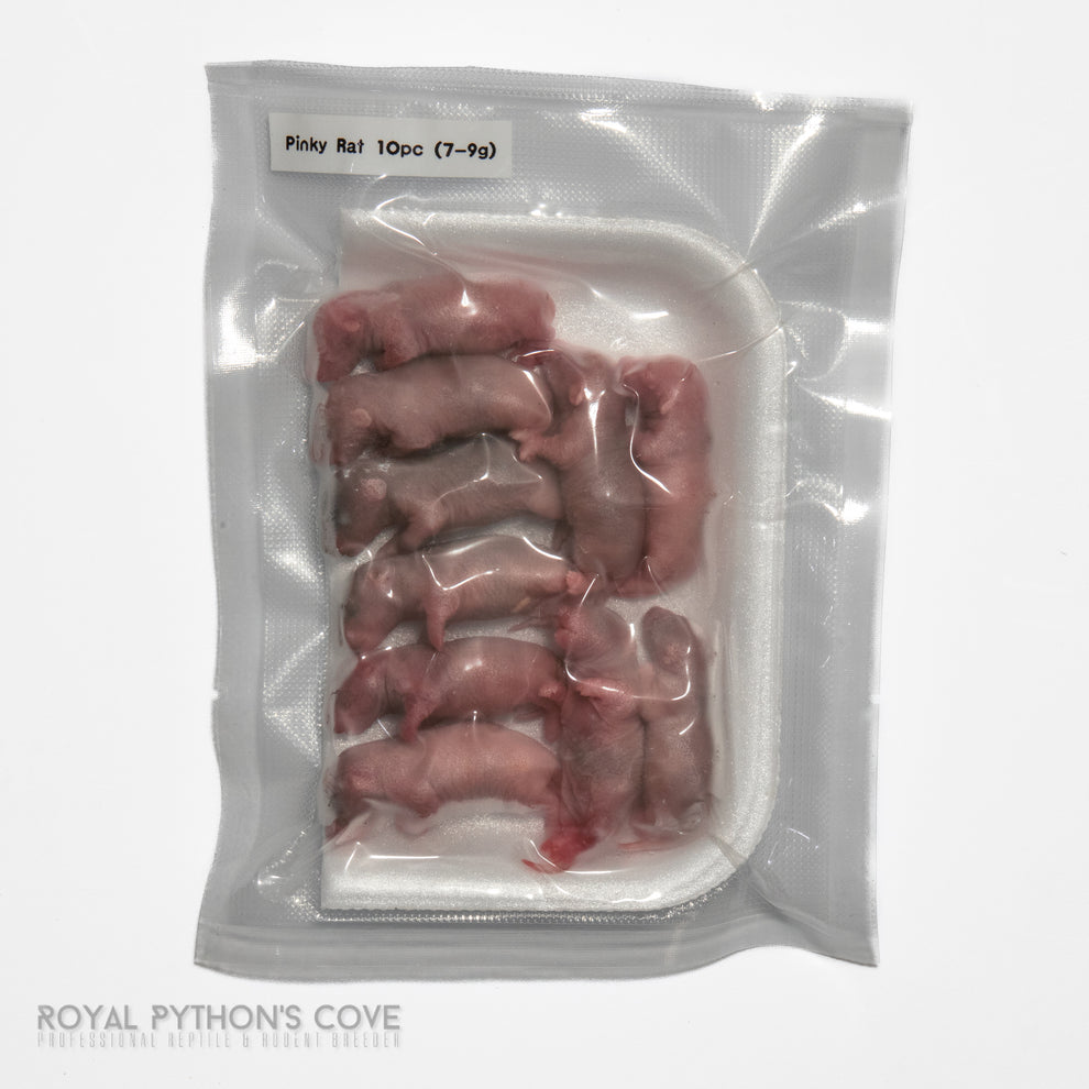 Frozen Norwegian Rat: Local Pickup & Delivery in South Jersey – Royal ...