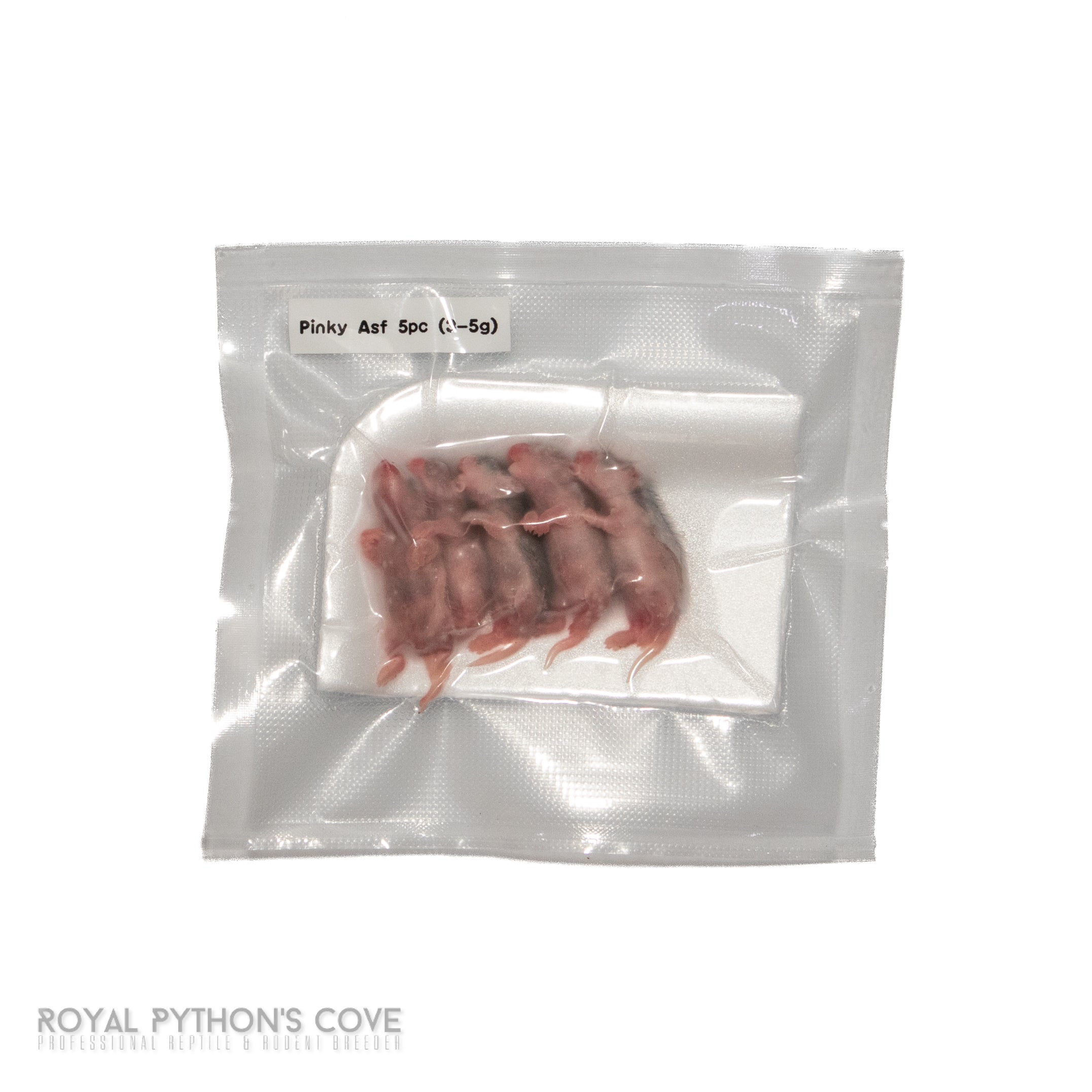 Frozen Natal Multimammate Mouse (ASF): Local Pickup & Delivery in