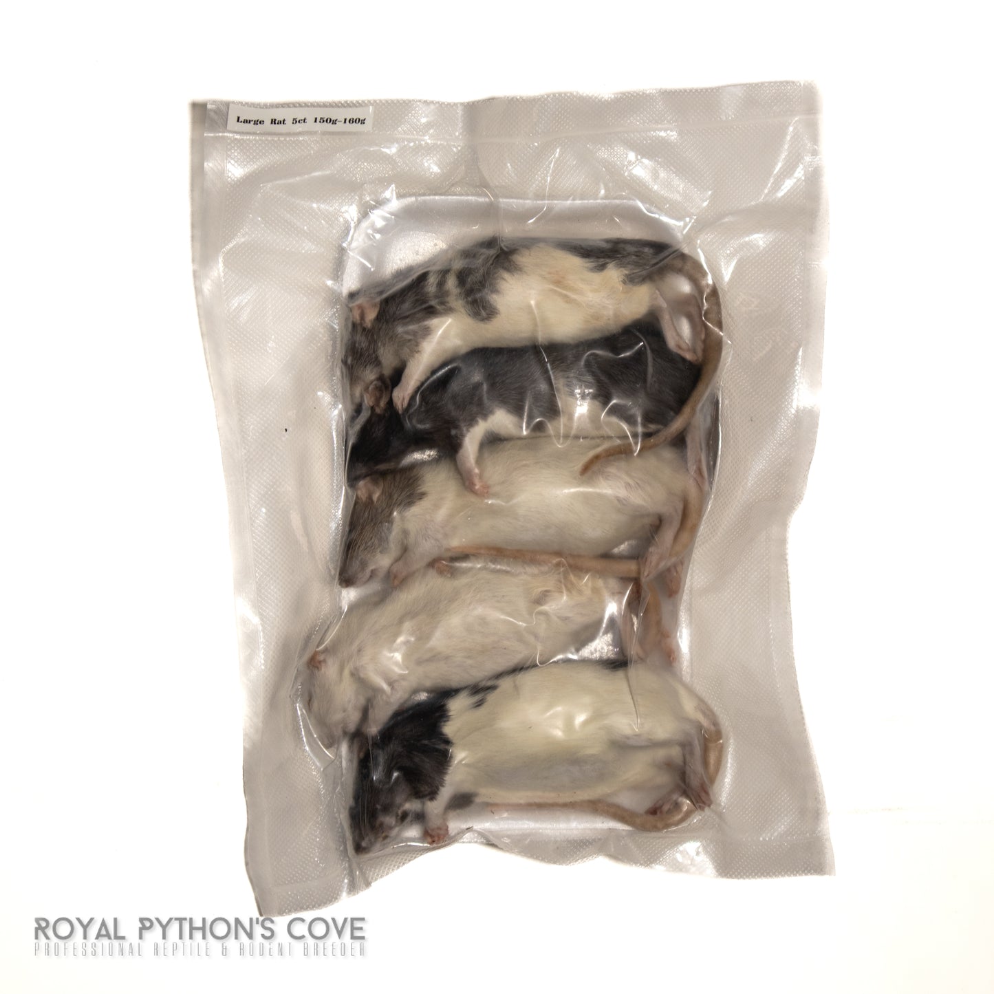frozen large rat