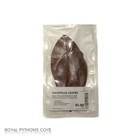 Magnolia Leaf Litter 3ct