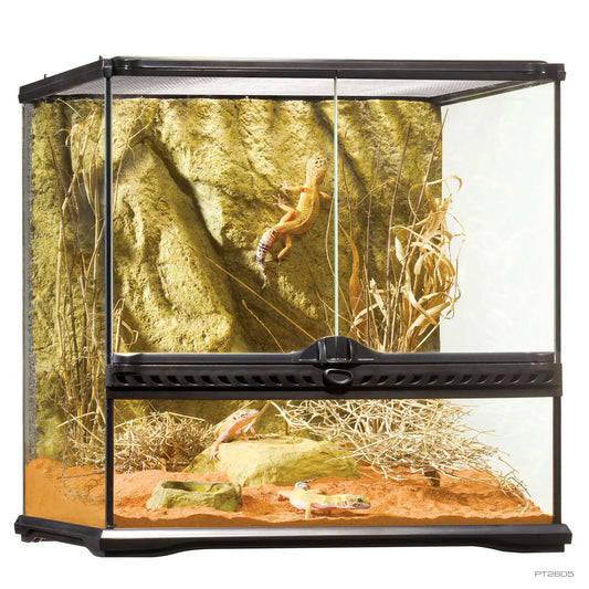 Exo Terra Glass Terrarium Small Wide 18x18x18"