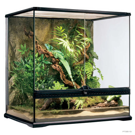 Exo Terra Glass Terrarium Medium Tall 24x18x24"