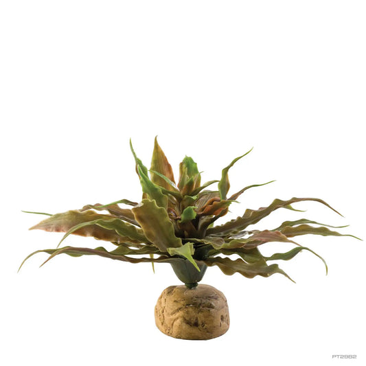 Exo Terra Star Cactus Terrarium Plant