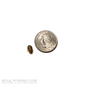 Dubia Roach 1