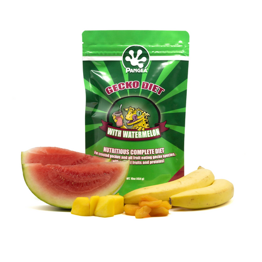 Pangea Gecko Diet With Watermelon Complete Diet 16oz