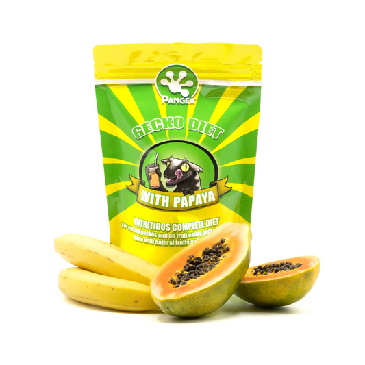 Pangea Gecko Diet With Papaya Nutritious Complete Diet 16oz