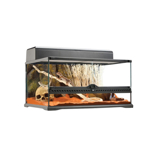 Exo Terra Glass Terrarium Medium Low 24x18x12"