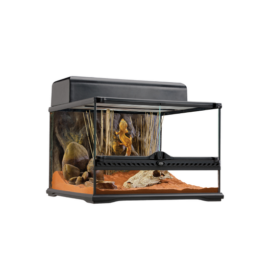 Exo Terra Glass Terrarium Small Low 18x18x12"