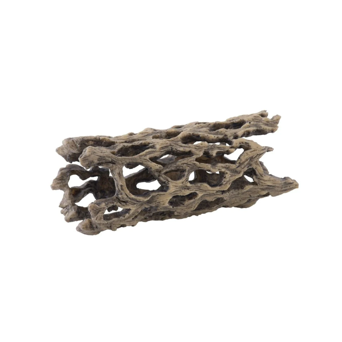 Exo Terra Cholla Cactus Skeleton 1