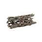 Exo Terra Cholla Cactus Skeleton 1