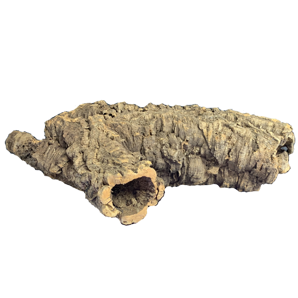 cork 7
