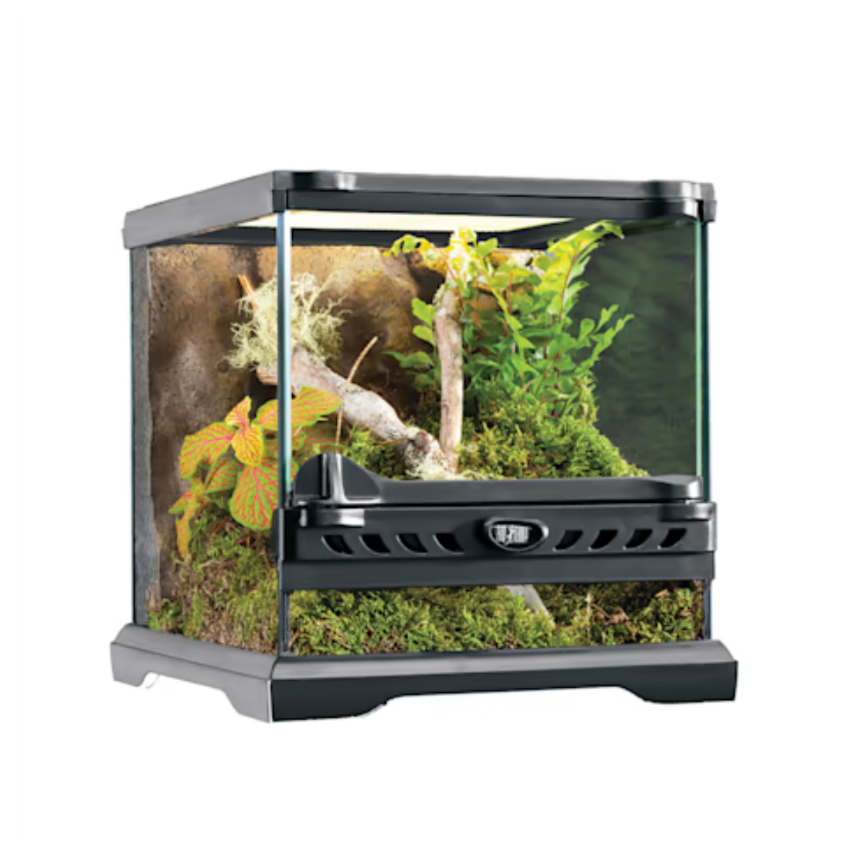 Exo Terra Nano Glass Terrarium 8x8x8