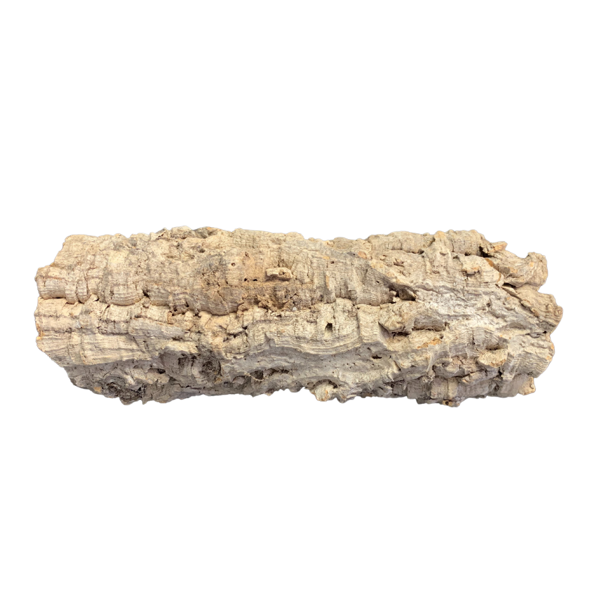 cork 3