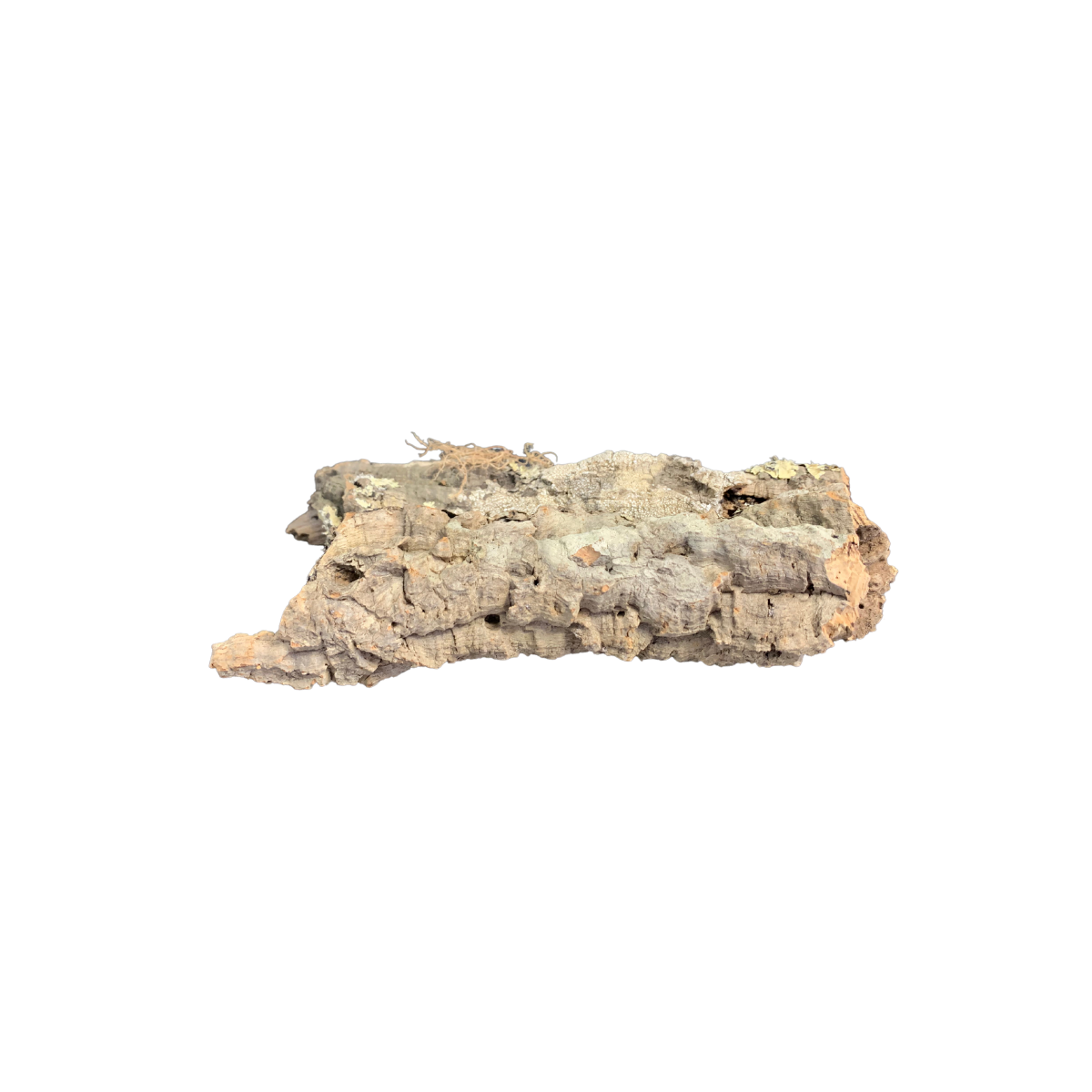 cork 2