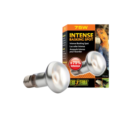 Exo Terra 75w Intense Basking Spot Bulb