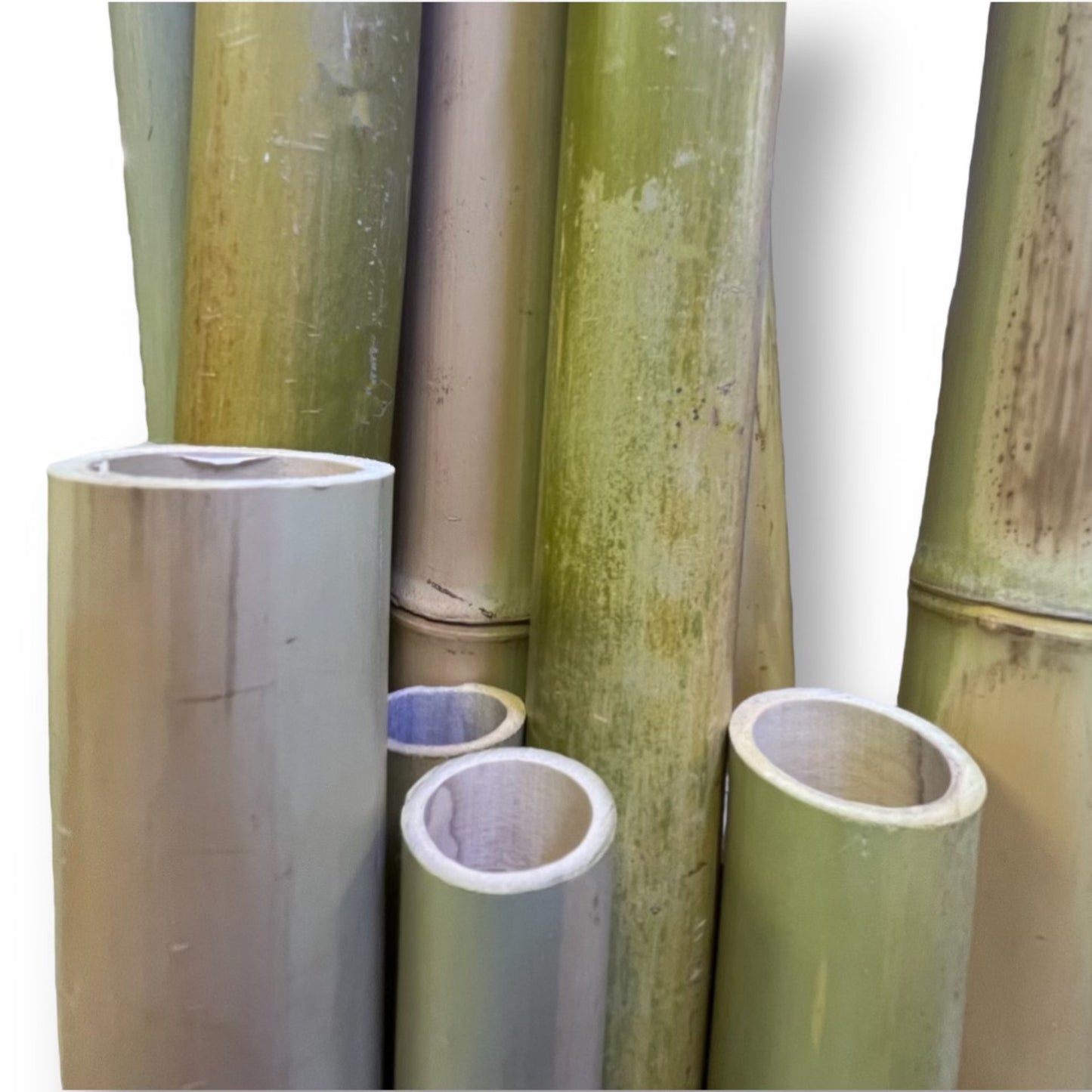 bamboo pole 2
