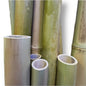 bamboo pole 2