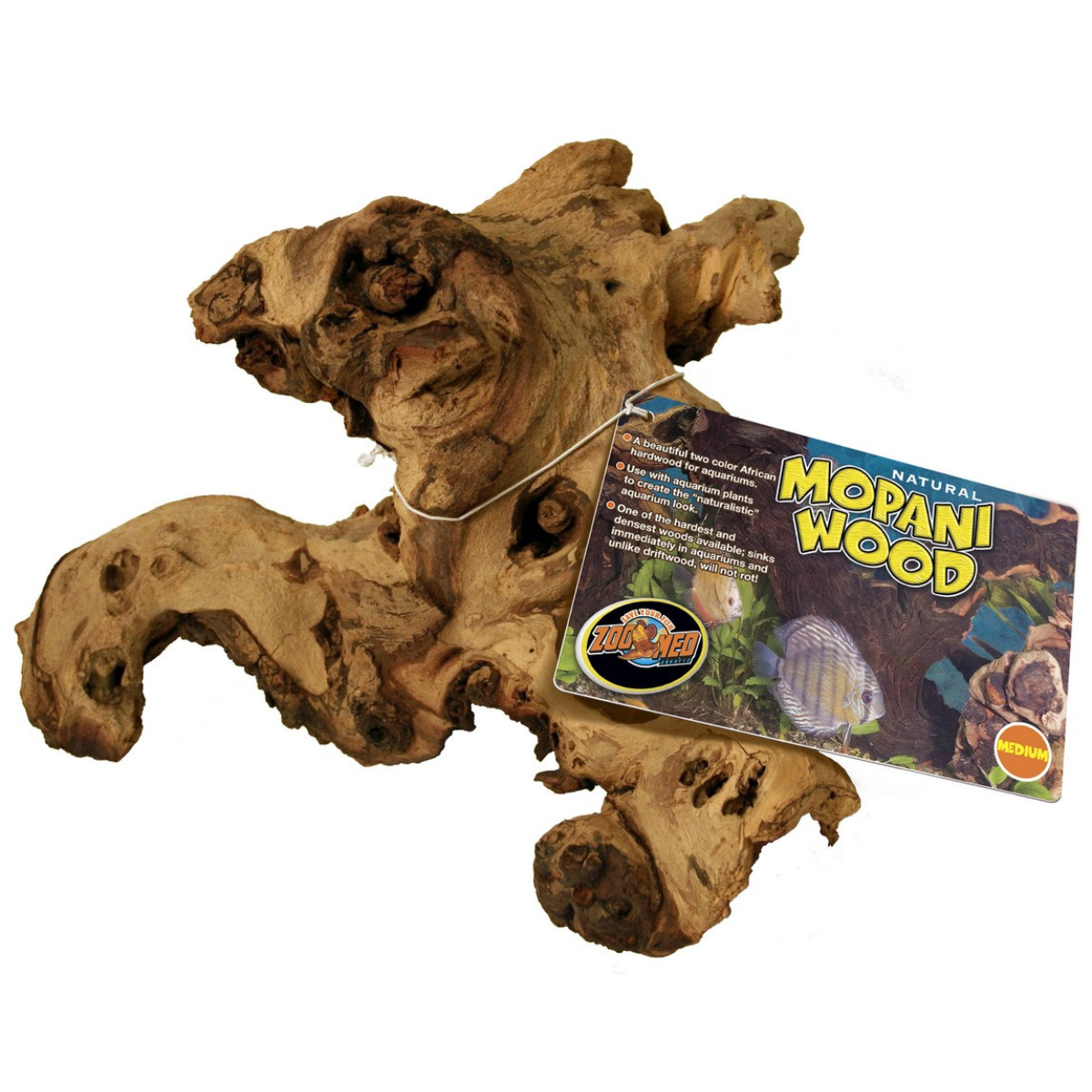 mopani wood 3