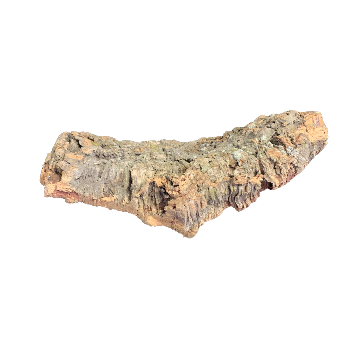 cork 4