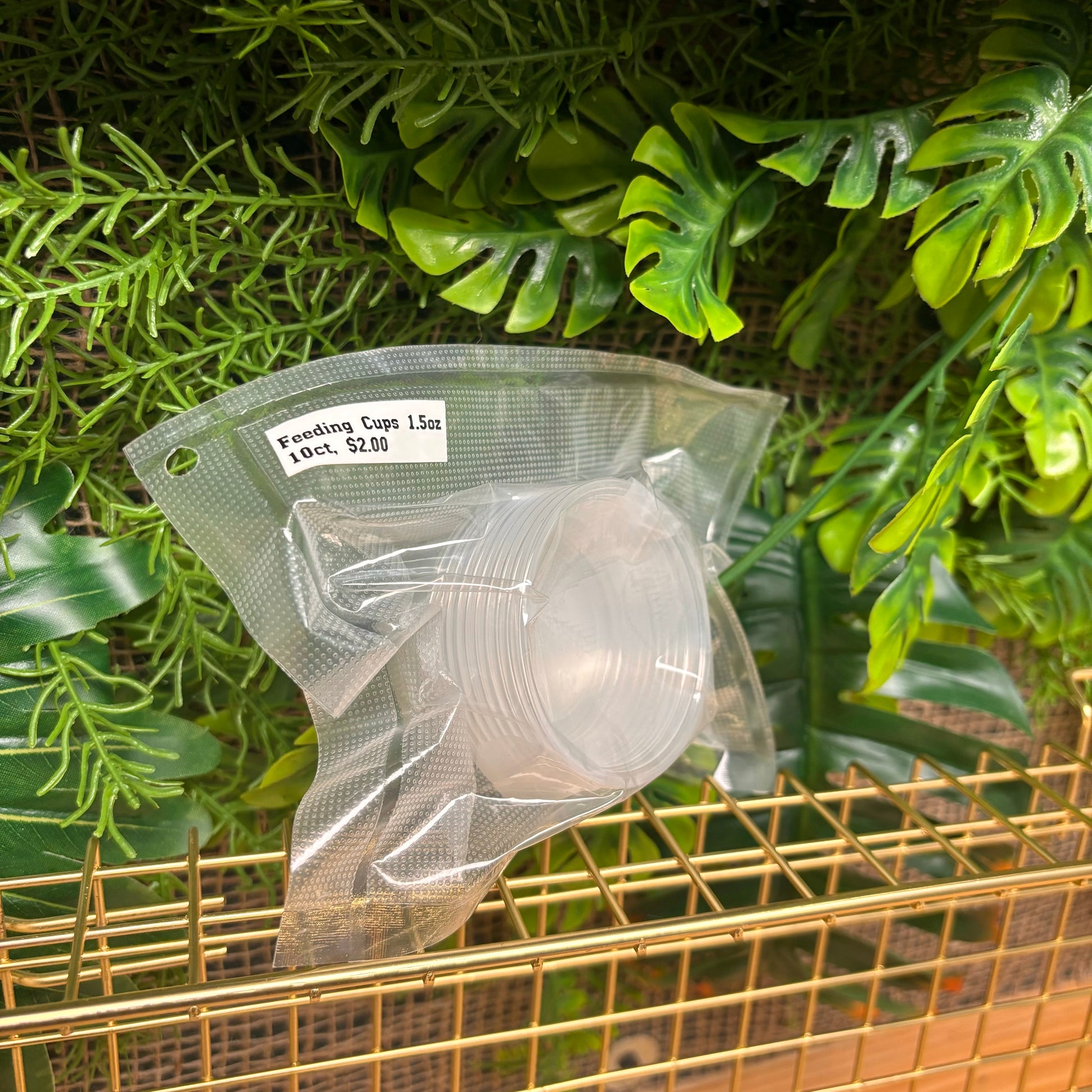 Reptile Feeding Cup Refill 10ct 1.5oz